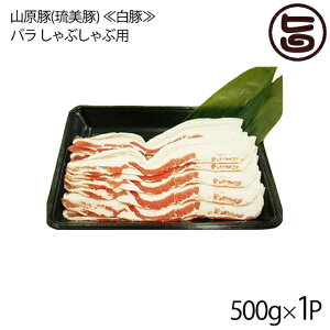 tbV~[gȂ R() ᔒ؁ o Ԃԗp 500g×1P  yY AO[ [ Md  lC