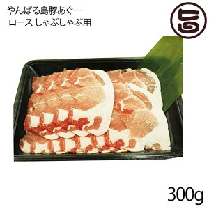 tbV~[gȂ ΂铇؂[ ፕ؁ [X Ԃԗp 300g  yY AO[ Md  lC