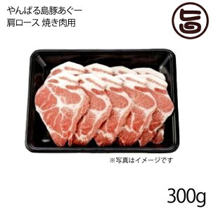 �t���b�V���~�[�g���Ȃ� ���΂铇�؂����[ �ፕ�؁� �����[�X �Ă����p 300g ���� �y�Y �A�O�[ �M�d ��