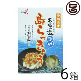 南都物産 沖縄県産 石垣の塩漬け 島らっきょう 60g×6箱 炒め物料理やお酒のおつまみに 人気 お土産