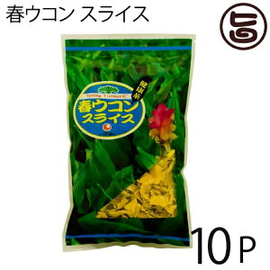 tER XCX 100g×10P Ð ꌧY _ t[N N~  Nێ