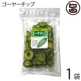 丸茂食品 ゴーヤーチップ 63g×1袋 沖縄 土産 人気 野菜チップス 苦瓜 ドライ野菜 おやつ