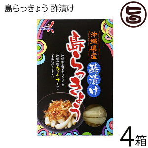 sY ꌧY傤 |Ђ ʂ܁[×4  yY Е ܂