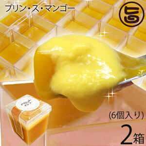 Mtg vEXE}S[ 6×2  lC XC[c 썑t[c n j