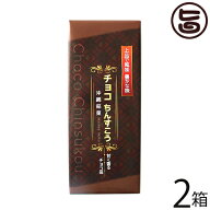 優菓堂 沖縄銘菓 チョコちんすこう 12個入×2箱 沖縄 土産 人気 個包装 お菓子 ちんすこう 本来の食感 ホ…
