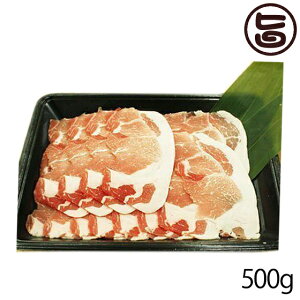 tbV~[gȂ R() ᔒ؁ [X Ԃԗp 500g  yY Md 