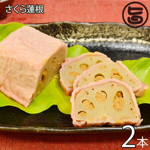 cX @ () 2{ F{ 炵@̂悤 񂱂̌ɃAWAXpCXl߂ς F{ yY lC