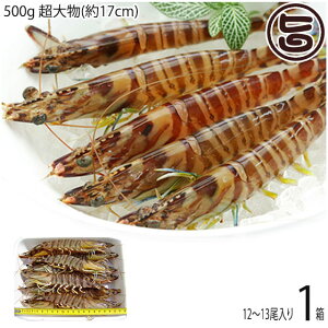 X{B }Ⓚ XY Ԃ  500g 啨(17cm) 12`13×1P