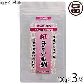 渡具知農園 沖縄やんばる産100% 紅きくいも粉 100g×3P 沖縄 土産 健康食品 菊芋 粉末 イヌリン豊富