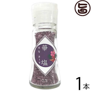 eNmO[ ؉ (͂Ȃ܁[) p[v 20g×1  yY lC  VR V[N[T[ gp