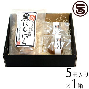 Mtg Ȃł̎RHi Ȃł̎Ȕy Eɂɂ MtgBOX 5ʓ  lC yRHi |tFm[A~m_Lx S|AVXeC Y F Yɂɂ