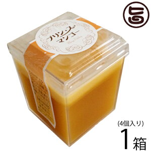 Mtg vEXE}S[ 4×1  yY lC n 썑t[c XC[c i