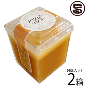 Mtg vEXE}S[ 4×2  yY lC n 썑t[c XC[c i