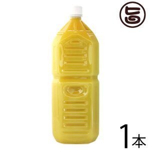 Ɩp ILn ꌧY100% V[NT[2L()×1{  yY lC V[N[T[ t W[X mr`