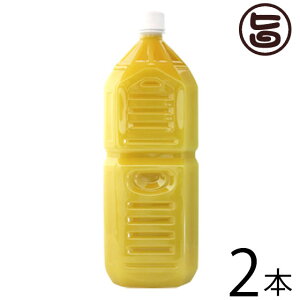 Ɩp ILn ꌧY100% V[NT[2L()×2{  yY lC V[N[T[ t W[X mr`