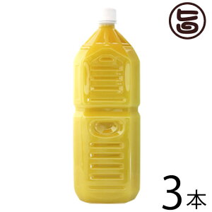 Ɩp ILn ꌧY100% V[NT[2L()×3{  yY lC V[N[T[ t W[X mr`