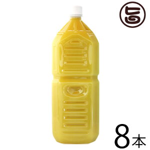 Ɩp ILn ꌧY100% V[NT[2L()×8{  yY lC V[N[T[ t W[X mr`