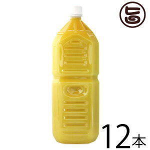 Ɩp ILn ꌧY100% V[NT[2L()×12{  yY lC V[N[T[ t W[X mr`