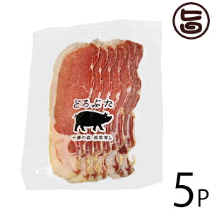 Gp\ ǂԂ bNXVPi[Xnj50g×5P kC yY lC 񂹐H IWi̕q؂̃[Xn