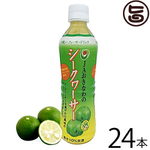 JAȂ̃V[N[T[ 500ml×24{  yY lC V[N[T[ W[X ʏ`10 ꌧYV[N[T[ʏ`