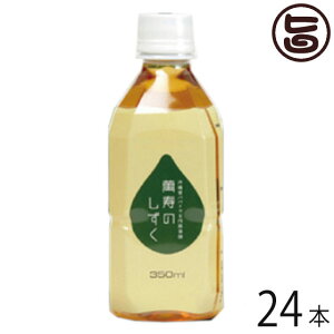 ݎ̂ 350ml 1P[X(24{)  hN ppC mJ[ ~l NǗ