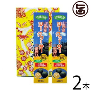Mtg Ε kY Y RV[N[T[1ԍMtgZbg 500ml×2{Zbg  yY lC ʏ`100% N 炲Ɗۍ ʓ ̉ƒ̈w mr`