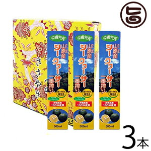 Mtg Ε kY Y RV[N[T[1ԍMtgZbg 500ml×3{Zbg  yY lC ʏ`100% N 炲Ɗۍ ʓ ̉ƒ̈w mr`