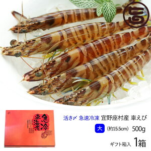 Mtg X{B }Ⓚ XY Ԃ  500g (15cm) 17`21×1