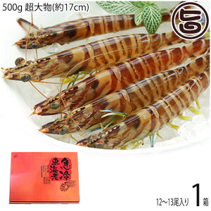 Mtg X{B }Ⓚ XY Ԃ  500g 啨(17cm) 12`13×1