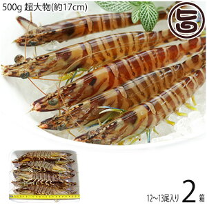 X{B }Ⓚ XY Ԃ  500g 啨(17cm) 12`13×2P