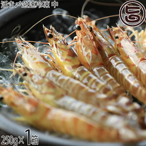 Y}Ⓚ vē̎Ԃ 250g (12`16)×1 ԊCV vđJ 