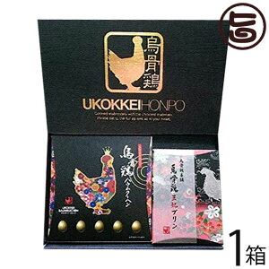 Mtg G{{ G{܂̃v4oEN[w1 MtgZbg 򕌌 yY lC MdŔZȉG{gp