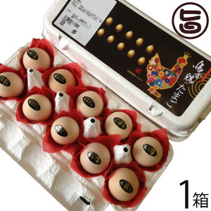 G{{ G{[h 10×1 򕌌 yY lC 󏭂ȉG{̗ r^~E~lER