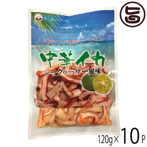 ؃CJ V[N[T[ 120g×10P