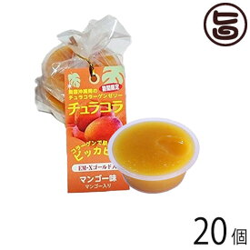 リリーフーズ チュラコラ (コラーゲンゼリー) マンゴー味 20個セット (2個入り×10袋) 沖縄 土産 無着色 無香料 天然コラーゲン もっちりゼリー