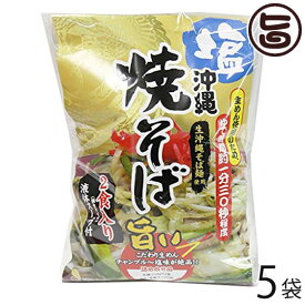 シンコウ 沖縄 塩焼きそば (袋) 2食入り×5袋 こだわりの生めんとチャンプルー塩味のソース 沖縄 土産 人気 惣菜 沖縄そば麺使用