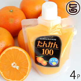 屋久島ふれあい食品 たんかんジュース パウチ 160g×4P 鹿児島県 人気 定番 土産 果汁100%飲料