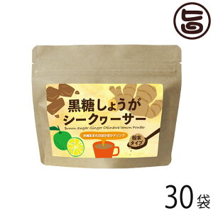 MюA 傤V[N[T[120g×30  lC  yY ^CṽhN