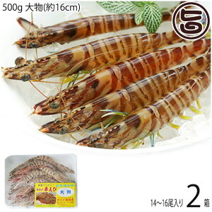 X{B }Ⓚ XY Ԃ  500g 啨(16cm) 14`16×2P