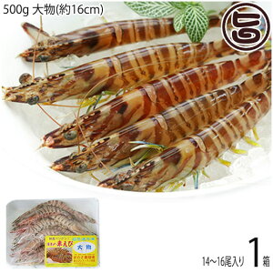 X{B }Ⓚ XY Ԃ  500g 啨(16cm) 14`16×1P