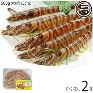 X{B }Ⓚ XY Ԃ  500g (15cm) 17`21×2P