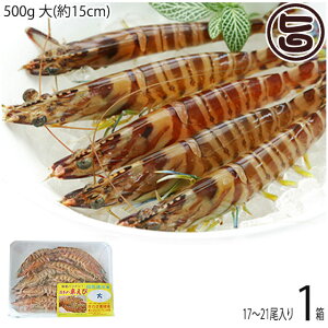 X{B }Ⓚ XY Ԃ  500g (15cm) 17`21×1P