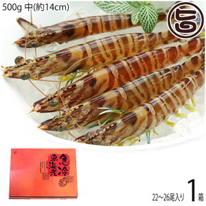 Mtg X{B }Ⓚ XY Ԃ  500g (14cm) 22`26×1