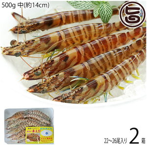 X{B }Ⓚ XY Ԃ  500g (14cm) 22`26×2P