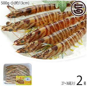 X{B }Ⓚ XY Ԃ  500g (13cm) 27`36×2P