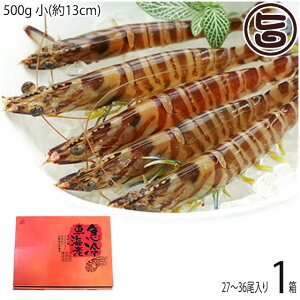 Mtg X{B }Ⓚ XY Ԃ  500g (13cm) 27`36×1