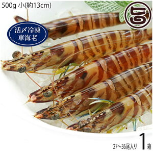 X{B }Ⓚ XY Ԃ  500g (13cm) 27`36×1P