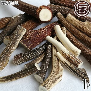 AñWrG RR {B̊p LLTCY×1P Ɍ lC yY i`ybgt[h XgX JVEێ