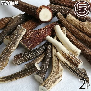 但馬のジビエ ココ鹿 本州鹿の角 LLサイズ×2P 兵庫県 人気 土産 ナチュラルペットフード ストレス解消 カルシウム摂取