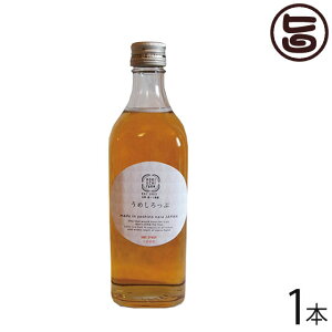 x_ ߂ 500ml×1{ ޗǌ lC yY ޗǌY Y n